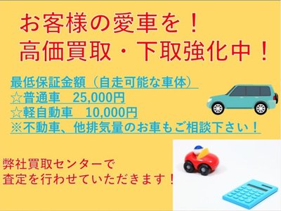 2024 Toyota LAND CRUISER 300 — миниатюра 108