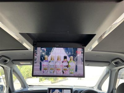 2025 Toyota ALPHARD 缩略图 31