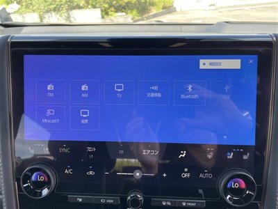 2025 Toyota ALPHARD 缩略图 25