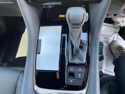2025 Toyota ALPHARD 缩略图 29