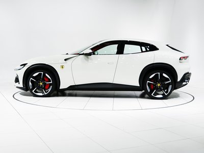 FERRARI PUROSANGUE - 7