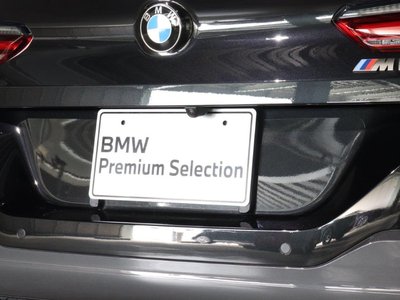 2019 BMW 8 SERIES thumbnail 11