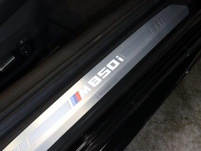 2019 BMW 8 SERIES thumbnail 51