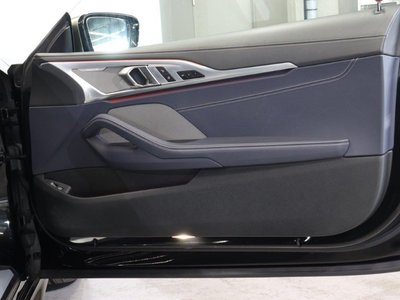 2019 BMW 8 SERIES thumbnail 48