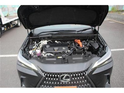2021 Lexus NX — миниатюра 55