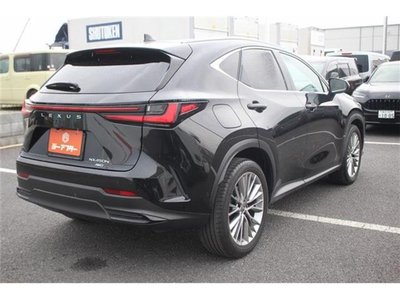 2021 Lexus NX — миниатюра 13