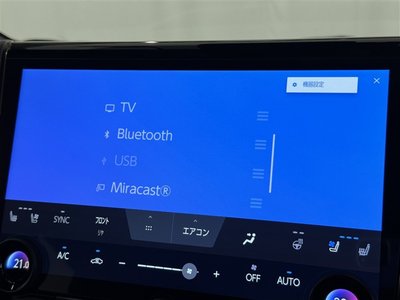 2024 TOYOTA ALPHARD 缩略图 16
