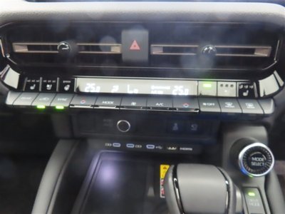 2024 Toyota LAND CRUISER 250 缩略图 13