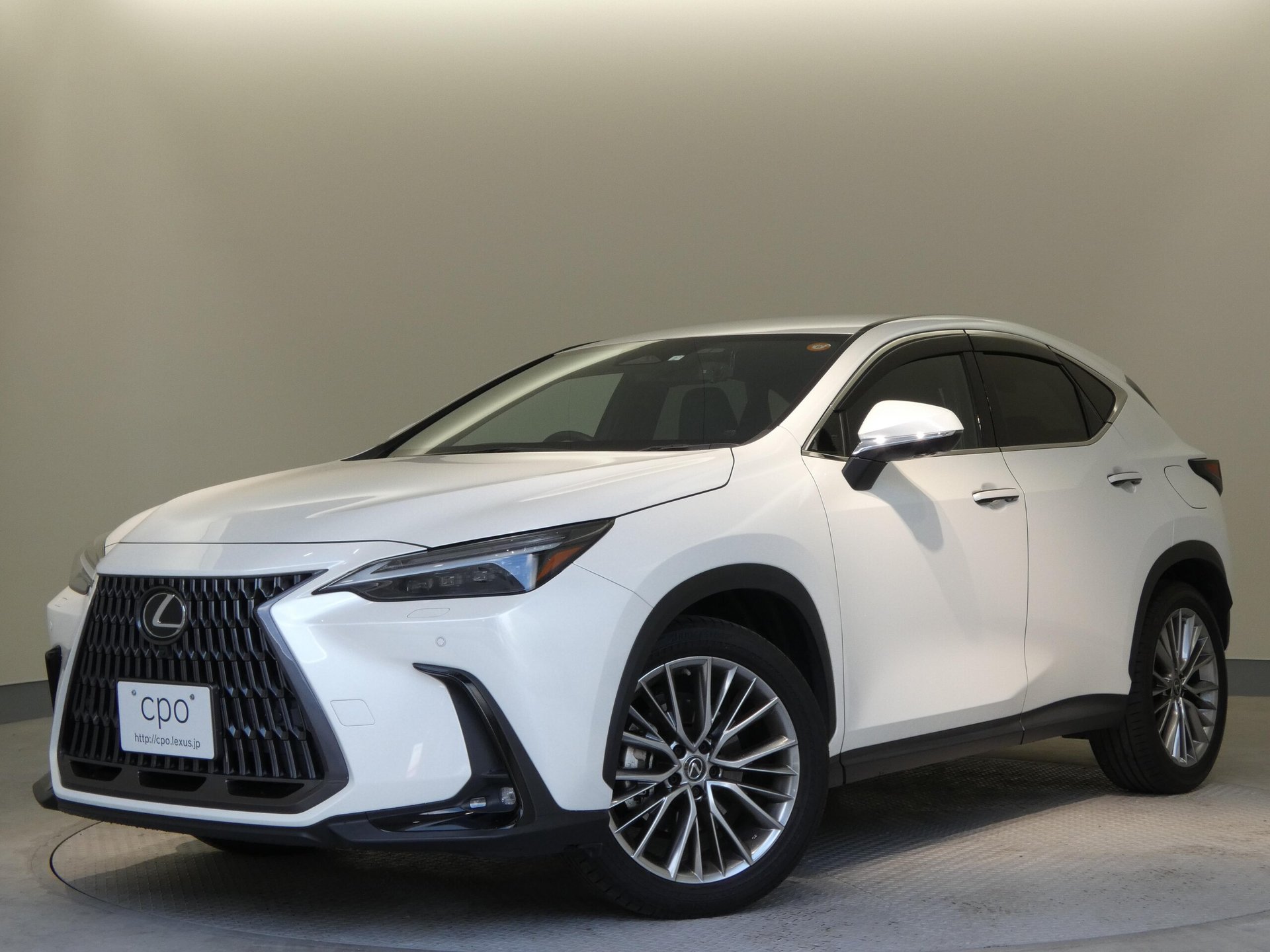 LEXUS NX - View 1