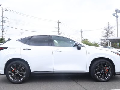 LEXUS NX - 10
