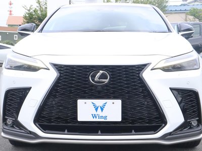 LEXUS NX - 6
