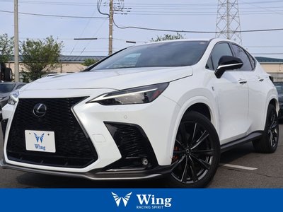LEXUS NX - 1