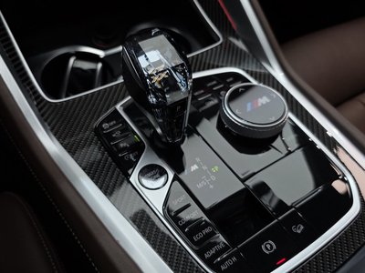 2020 BMW X6 — миниатюра 12