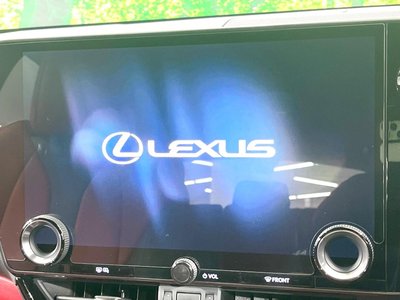 LEXUS NX - 4