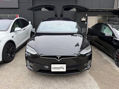 2018 Tesla MODEL X — фото 2