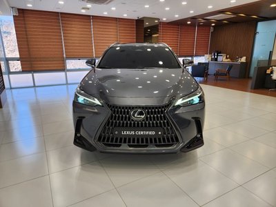LEXUS NX - 2