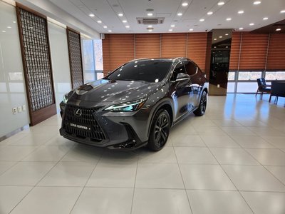 LEXUS NX - 1