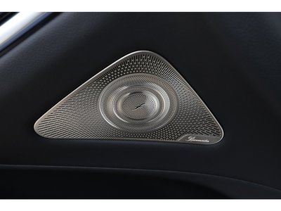 2022 Mercedes-BENZ S-CLASS — миниатюра 52
