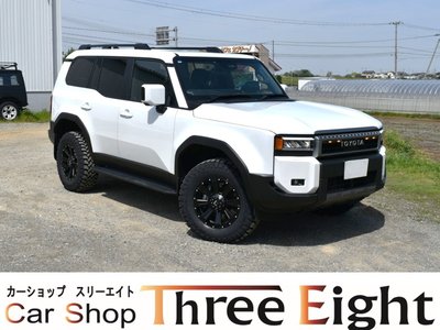 TOYOTA LAND CRUISER 250 - 1