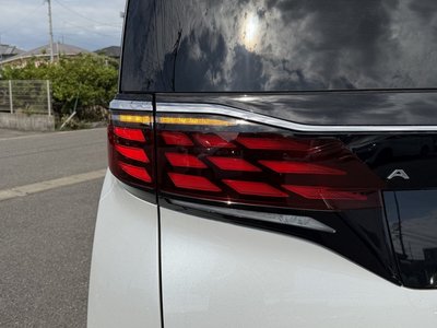 2024 Toyota ALPHARD — фото 39