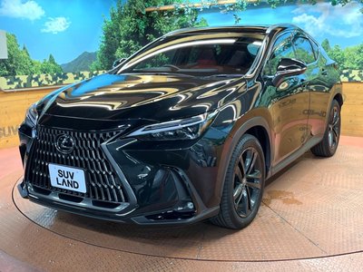 2023 Lexus NX — миниатюра 58