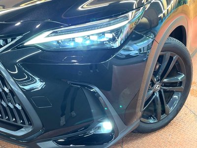 2023 Lexus NX — миниатюра 14