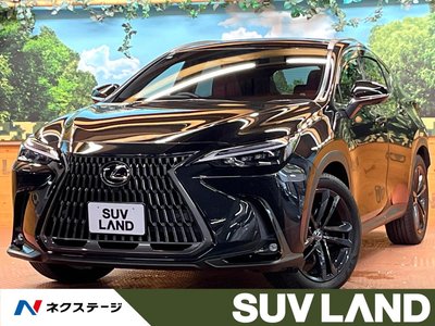 LEXUS NX - 1