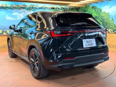 2023 Lexus NX — миниатюра 61