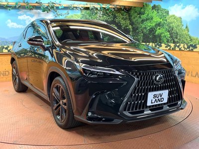 2023 Lexus NX — миниатюра 59