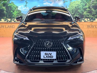 2023 Lexus NX — миниатюра 16