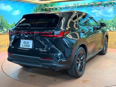 2023 Lexus NX — миниатюра 60