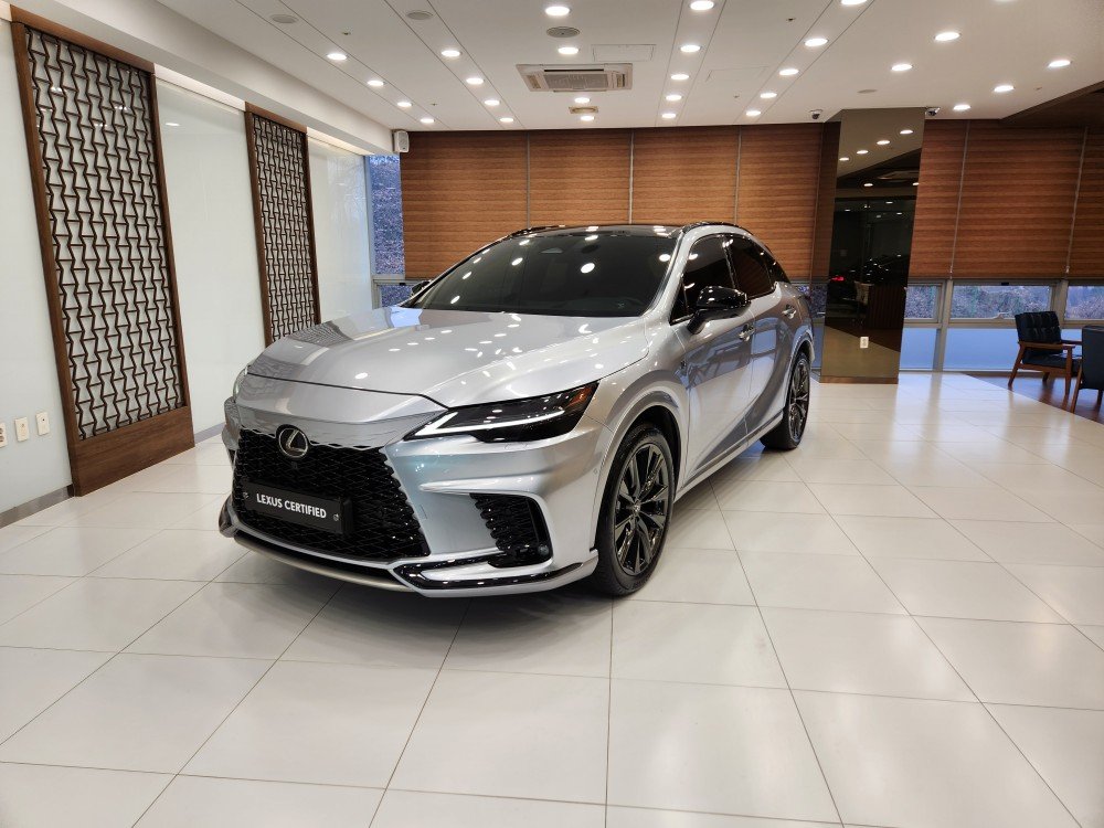 LEXUS RX - View 1
