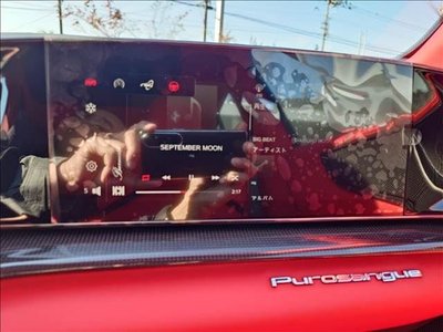 2025 Ferrari PUROSANGUE thumbnail 15