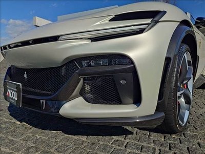 2025 FERRARI PUROSANGUE 照片 8