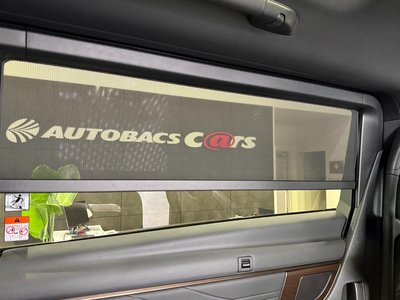 2026 TOYOTA ALPHARD 缩略图 41