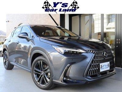 LEXUS NX - 1