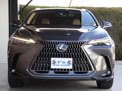 LEXUS NX - 9