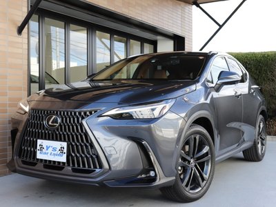 LEXUS NX - 10