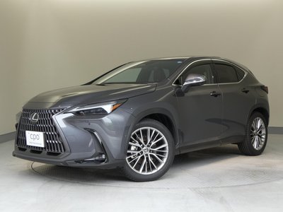 LEXUS NX - 1
