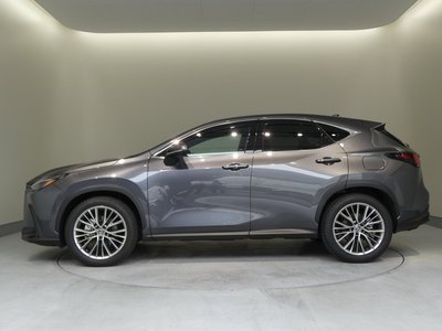Thumbnail 14