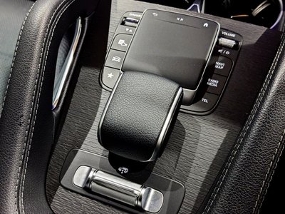 2022 Mercedes-BENZ GLS thumbnail 34