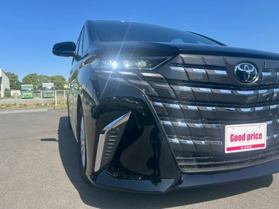 2025 TOYOTA ALPHARD 缩略图 30