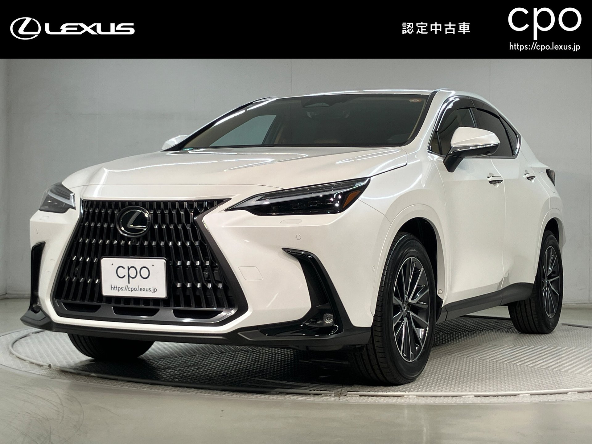 LEXUS NX - View 1