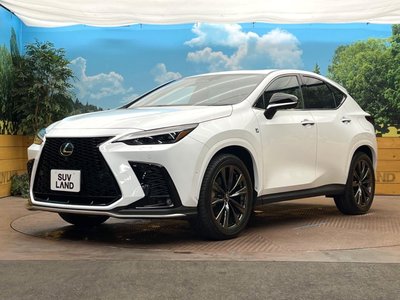 2023 Lexus NX — миниатюра 29