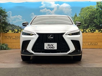 2023 Lexus NX — миниатюра 15