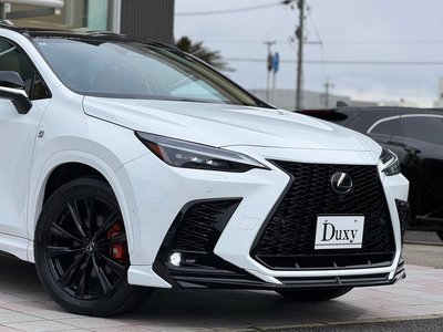 LEXUS NX - 8