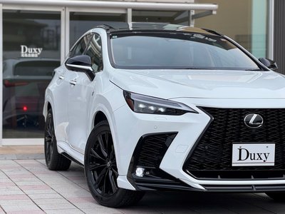 LEXUS NX - 10