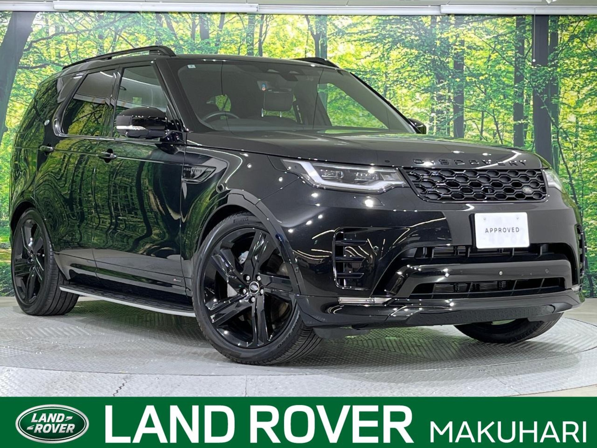 LAND ROVER DISCOVERY - View 1