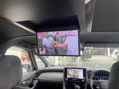 TOYOTA ALPHARD - 3
