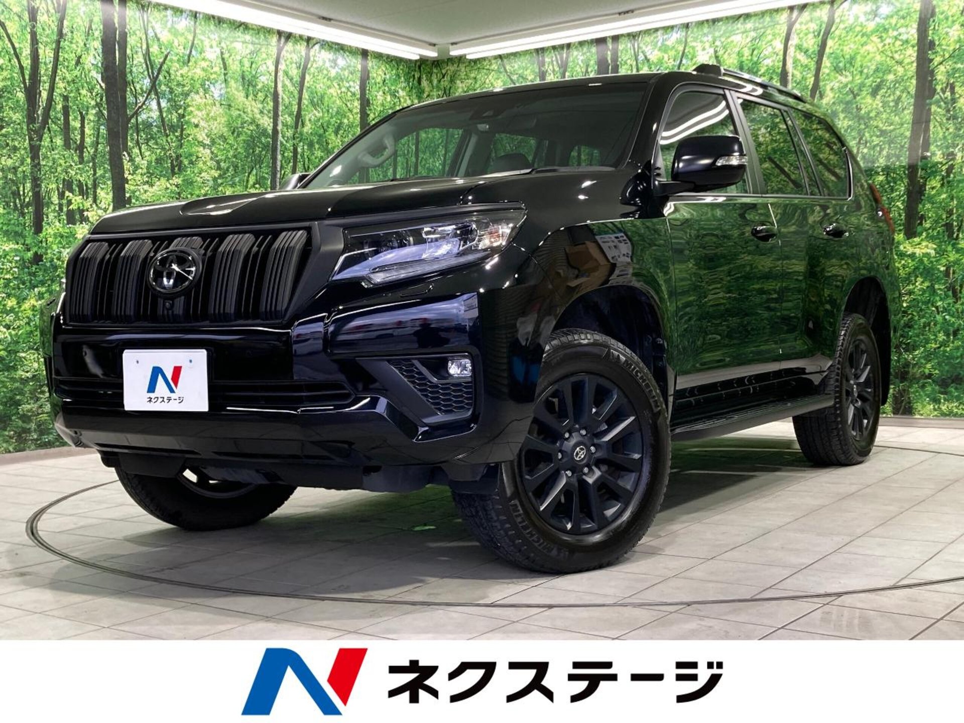 TOYOTA LAND CRUISER PRADO - View 1
